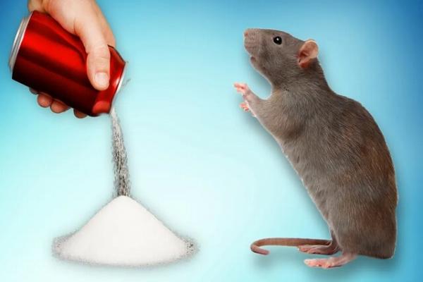 موش,نوشابه قندی