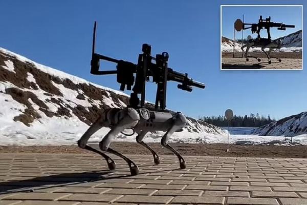 سگ رباتیک, سگ رباتیک تک تیرانداز مجهز به اسلحه