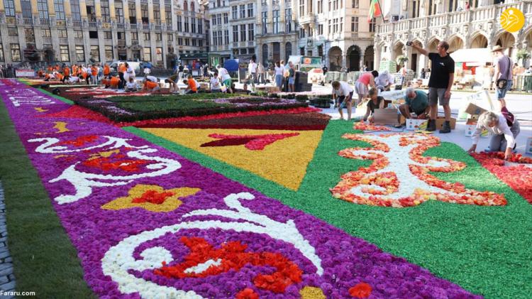 تصاویر فرش گل ۱۷۰۰ متری از کوکب و بگونیا در بروکسل بلژیک,عکس های فرش گل در بلژیک,تصاویری از فرش گل در بلژیک