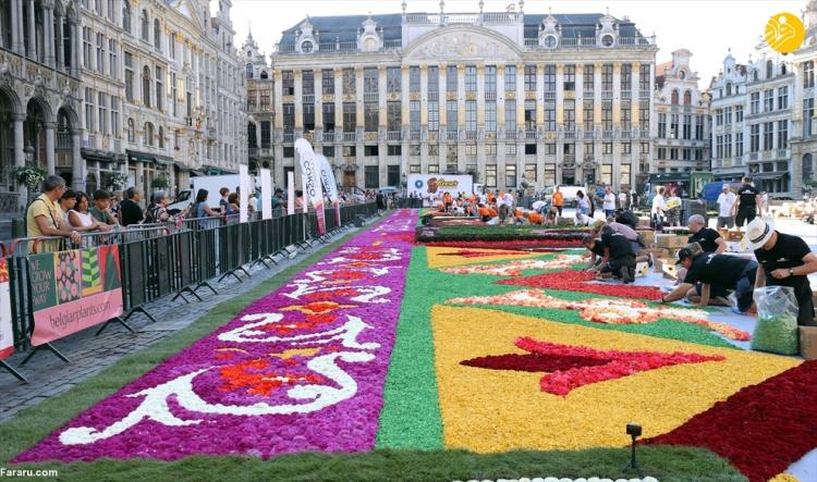تصاویر فرش گل ۱۷۰۰ متری از کوکب و بگونیا در بروکسل بلژیک,عکس های فرش گل در بلژیک,تصاویری از فرش گل در بلژیک