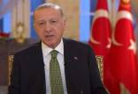 رئیس جمهور ترکیه,صلح پوتین و زلنکسی