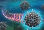 تبدیل ضایعات ماهی به نانومواد کربنی,نانومواد کربنی