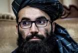 طالبان,یک عضو ارشد طالبان