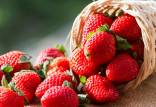 توت فرنگی,ترکیب موجود در توت فرنگی باعث جلوگیری از ابتلا به آلزایمر