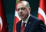 اردوغان,رئیس جمهور ترکیه