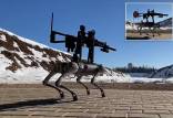 سگ رباتیک, سگ رباتیک تک تیرانداز مجهز به اسلحه