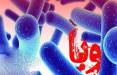 تبعه بیگانه افغان مبتلا به بیماری وبا,شناسایی وبا در جنوب کرمان