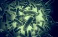 باکتری,ابداع یک آنتی‌بیوتیک جدید برای نابودی ده‌ها نوع از سرسخت‌ترین باکتری‌ها