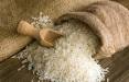 برنج,افزایش قیمت برنج