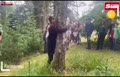 فیلم/ مسابقه در آغوش گرفتن درختان در اسکاتلند