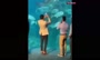 فیلم/ حمله کوسه به یک ماهی در آکواریوم جلوی چشم بینندگان