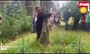 فیلم/ مسابقه در آغوش گرفتن درختان در اسکاتلند