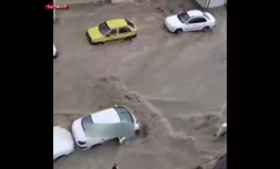 جیغ و فریادهای شهروندان یاسوج؛ سیل ماشین‌ها را برد