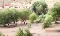 فیلم | سیلاب رودخانه رودبال؛ تعداد جان باختگان سیلاب استهبان به 21 نفر رسید