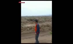 فیلم/ تخریب گسترده باغ‌های پسته کرمان و رفسنجان بر اثر سیلاب‌های اخیر