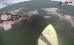 وقتی هنگام موج‌سواری دو آراژانتینی، سر و کله نهنگ‌ها پیدا می‌شود +فیلم