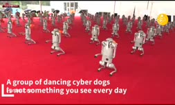 فیلم/ از سگ‌های رباتیک تا ربات‌های لجستیکی در کنفرانس جهانی ربات ۲۰۲۲