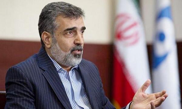 بهروز کمالوندی,سخنگوی سازمان انرژی اتمی ایران