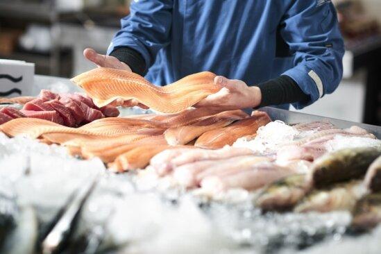 ذخایر جهانی ماهی,تمام شدن ذخایر جهانی ماهی