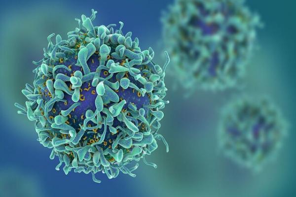 درمان سرطان,کمک سلول‌های ایمنی برای درمان سرطان