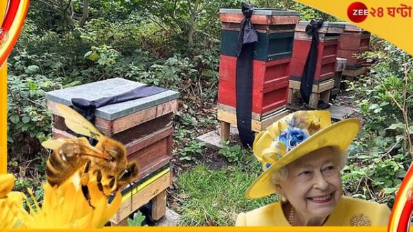 زنبورهای ملکه انگلیس,عزاداری زنبورهای ملکه