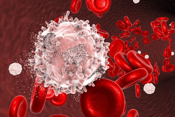 سرطان خون,شناسایی دو مولکول موثر برای درمان سرطان خون