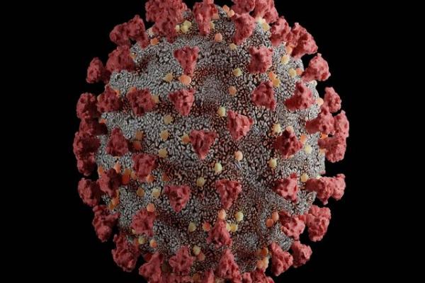 ویروس کرونا,ابداع نانومواد جدید برای توقف ویروس کرونا