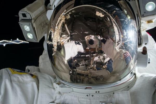 دی ان ای فضانوردان,کشف جهش‌های ناشی از پرواز فضایی در DNA فضانوردان