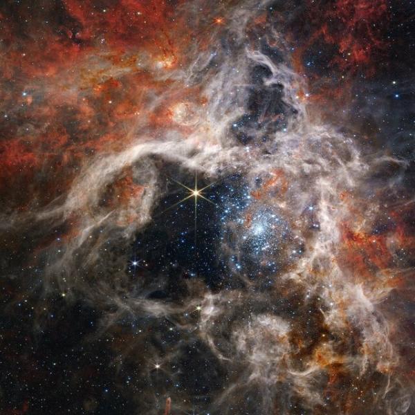 رُتیل فضایی,انتشار تصویری از رُتیل فضایی توسط تلسکوپ فضایی جیمز وب