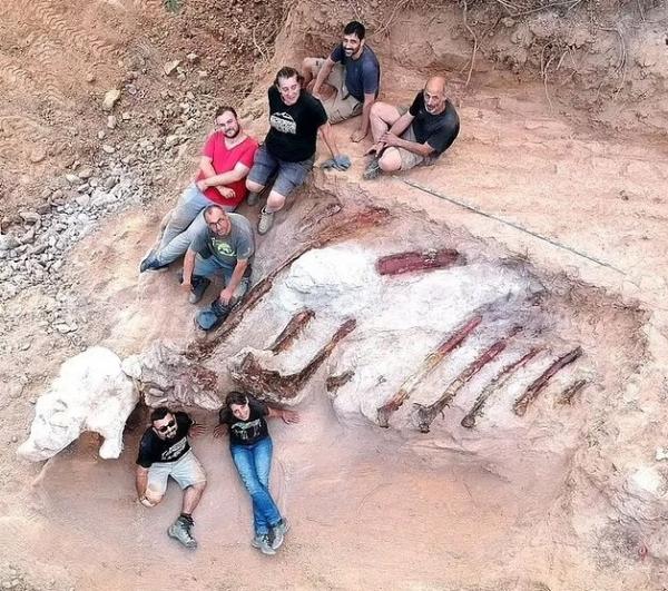 براکیوسور,کشف فسیل بزرگترین دایناسور خزنده‌پای اروپا