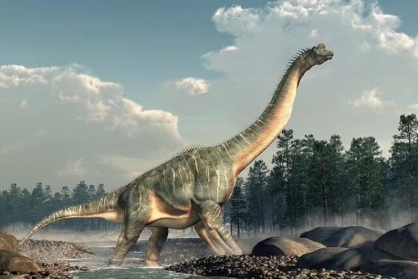 براکیوسور,کشف فسیل بزرگترین دایناسور خزنده‌پای اروپا