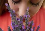رایحه,طراحی رایحه‌های جدید با استفاده از یادگیری ماشین