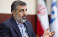 بهروز کمالوندی,سخنگوی سازمان انرژی اتمی ایران
