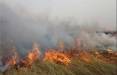 آتش‌سوزی در بخش عراقی تالاب هورالعظیم,تالاب هورالعظیم