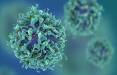 درمان سرطان,کمک سلول‌های ایمنی برای درمان سرطان