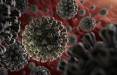 ویروس کرونا,راهکاری ساده در پیشگیری از مرگ ناشی از کرونا