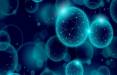 سرطان,درمان احتمال سرطان با نانوذراتی توخالی شبیه به حباب