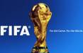 جام جهانی قطر,حضور تیم ملی اکوادور در جام جهانی 2022 قطر