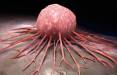 سرطان,کشف مخمر جدید برای تولید داروهای پیچیده مقابله با سرطان