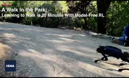 فیلم/ یادگیری راه رفتن در 20 دقیقه توسط سگ رباتیک
