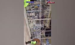 فیلم/ تشویق وریا غفوری توسط استقلالی‌ها در دیدار مقابل نفت مسجد سلیمان