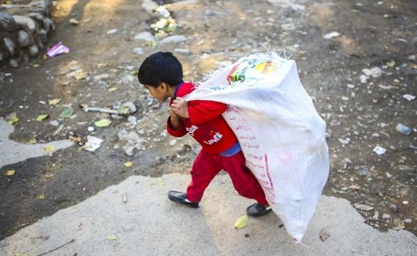 درآمد کودکان کار,کودکان کار تهران
