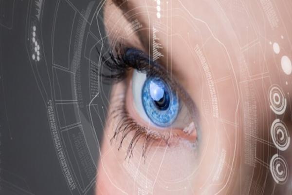 ترسیم نقشه سه‌بُعدی ساختار دی‌ان‌ای در شبکیه چشم,ساختار دی‌ان‌ای در شبکیه چشم