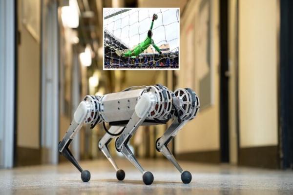 سگ رباتیک,دروازه بانی یک سگ رباتیک