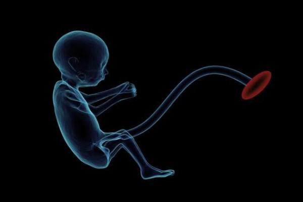 جنین,کشف راهی برای شناسایی نقایص خطرناک قلب جنین قبل از تولد