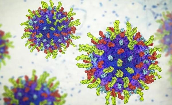 سرطان,کمک ویروس تب خال به درمان سرطان