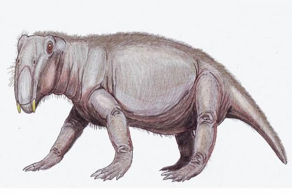 فسیل خوک,خوک در دوران دایناسورها