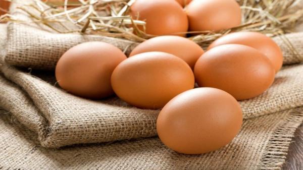 تخم مرغ تخم مرغ,قیمت تخم مرغ