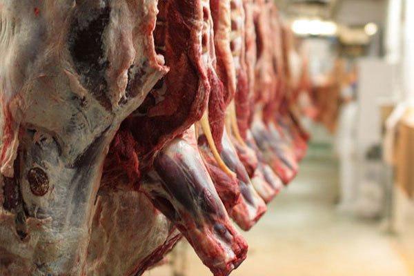 گوشت قرمز گوشت قرمز,قیمت گوشت قرمز