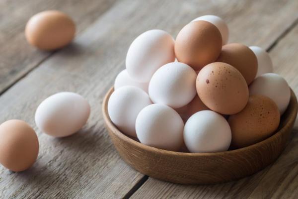 تخم مرغ تخم مرغ,قیمت تخم مرغ
